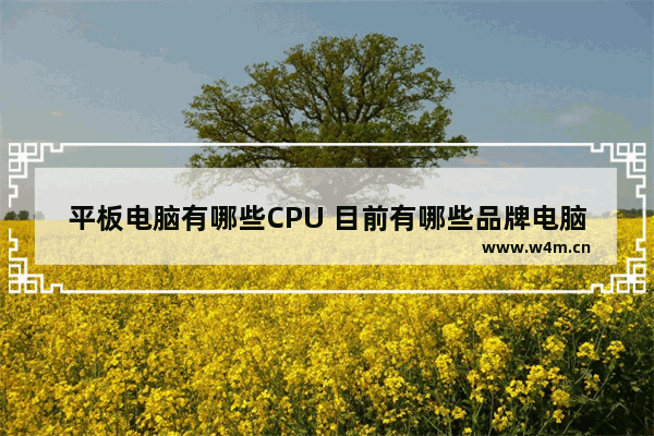 平板电脑有哪些CPU 目前有哪些品牌电脑处理器