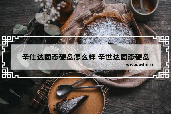 辛仕达固态硬盘怎么样 辛世达固态硬盘