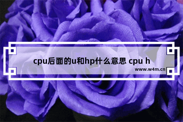 cpu后面的u和hp什么意思 cpu hp