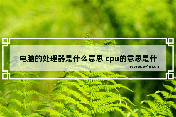 电脑的处理器是什么意思 cpu的意思是什么意思