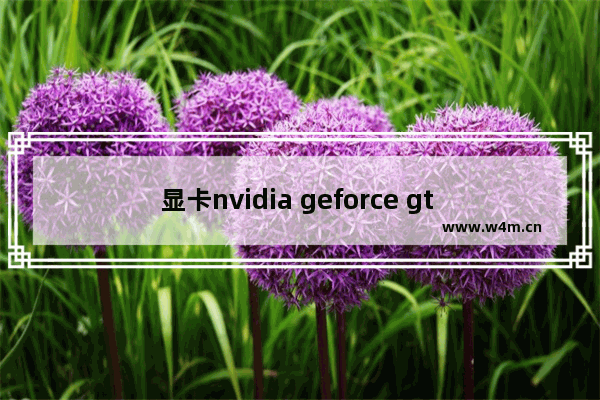 显卡nvidia geforce gt 610是什么意思 n610显卡