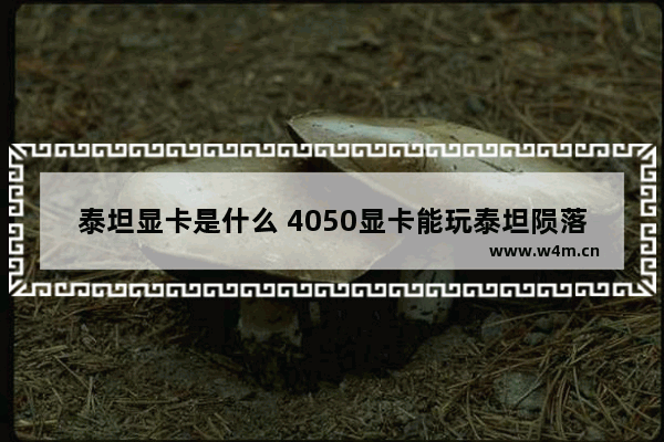 泰坦显卡是什么 4050显卡能玩泰坦陨落2吗