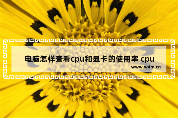 电脑怎样查看cpu和显卡的使用率 cpu使用率的