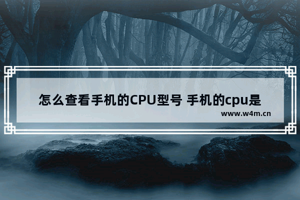 怎么查看手机的CPU型号 手机的cpu是