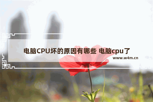 电脑CPU坏的原因有哪些 电脑cpu了