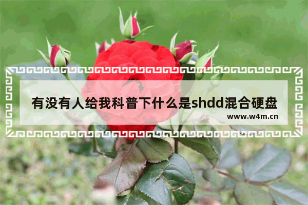 有没有人给我科普下什么是shdd混合硬盘 sshd固态混合硬盘设置