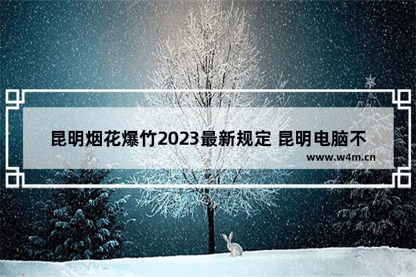 昆明烟花爆竹2023最新规定 昆明电脑不间断电源品牌