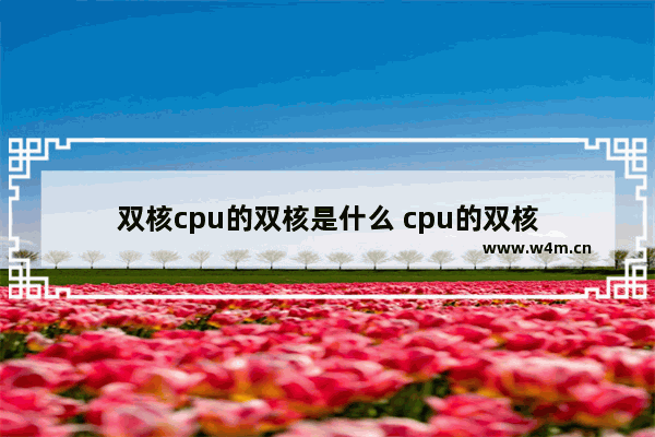 双核cpu的双核是什么 cpu的双核