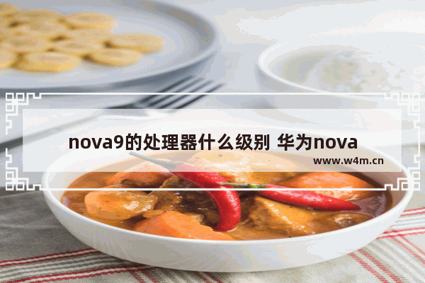 nova9的处理器什么级别 华为nova9和荣耀magic3哪个处理器个好