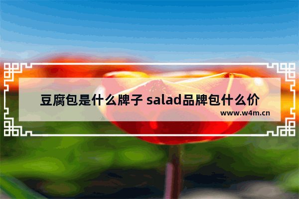 豆腐包是什么牌子 salad品牌包什么价位