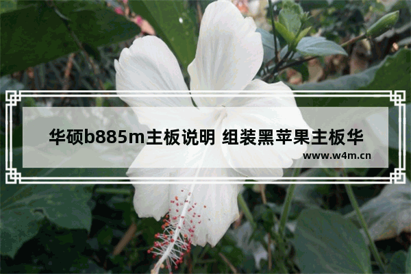 华硕b885m主板说明 组装黑苹果主板华硕电脑