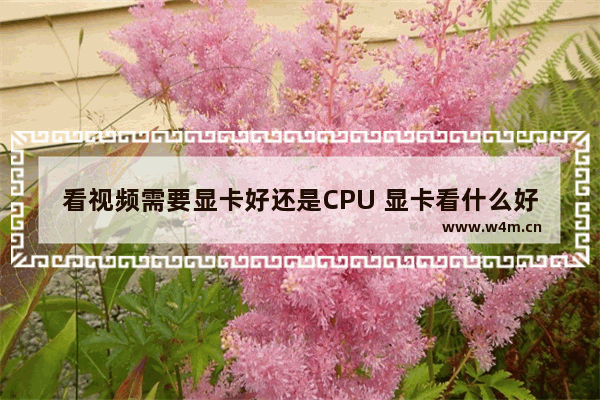 看视频需要显卡好还是CPU 显卡看什么好