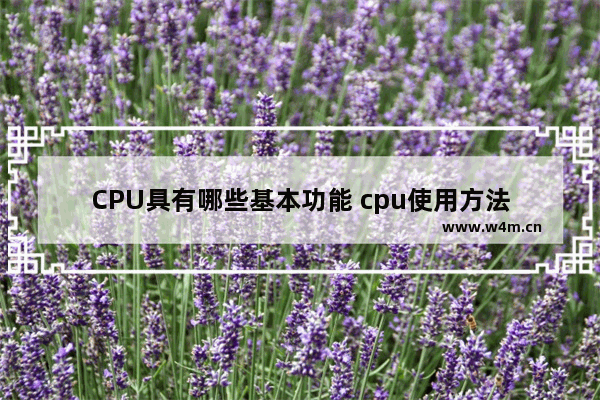 CPU具有哪些基本功能 cpu使用方法