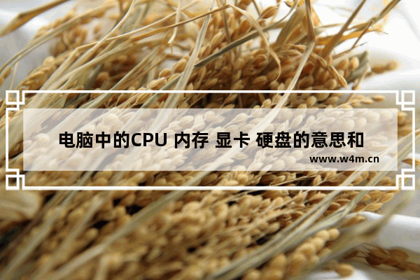 电脑中的CPU 内存 显卡 硬盘的意思和各自的作用是什么 电脑什么是cpu