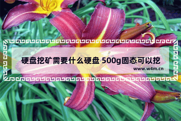 硬盘挖矿需要什么硬盘 500g固态可以挖矿吗