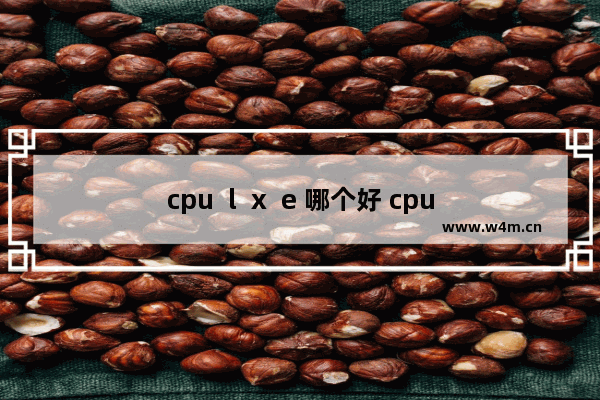 cpu  l  x  e 哪个好 cpu对l