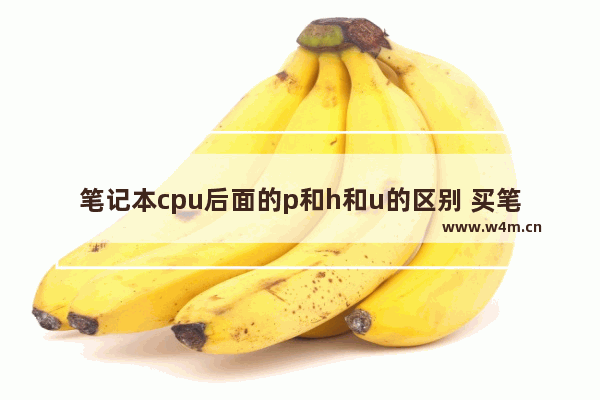 笔记本cpu后面的p和h和u的区别 买笔记本电脑主要看什么参数