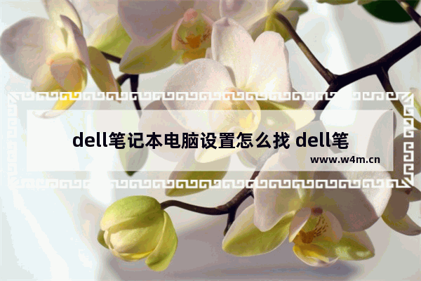 dell笔记本电脑设置怎么找 dell笔记本电脑设置