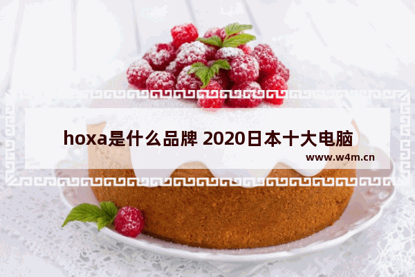 hoxa是什么品牌 2020日本十大电脑品牌