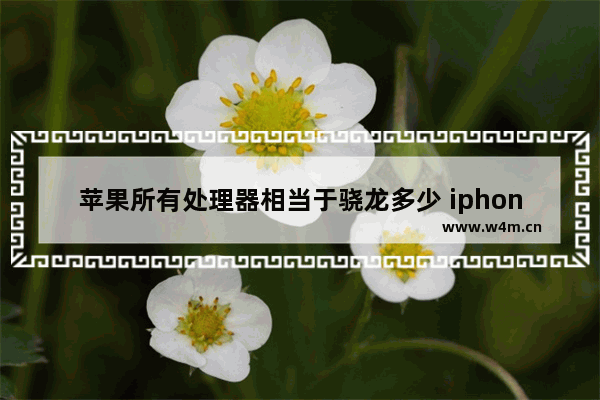 苹果所有处理器相当于骁龙多少 iphone 的cpu