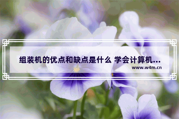 组装机的优点和缺点是什么 学会计算机组装与维修的好处是什么