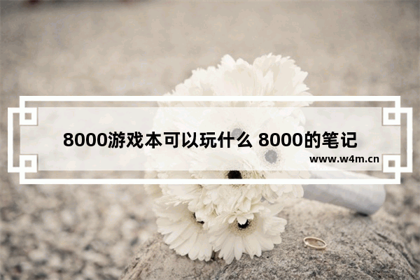 8000游戏本可以玩什么 8000的笔记本贵吗