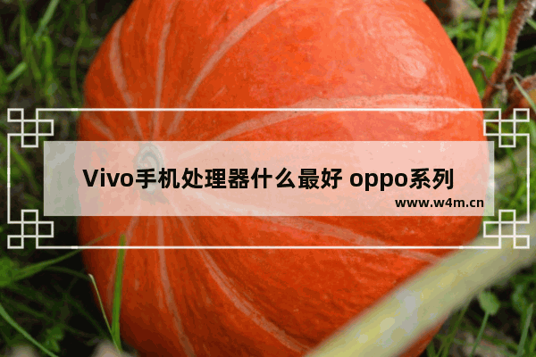 Vivo手机处理器什么最好 oppo系列处理器介绍