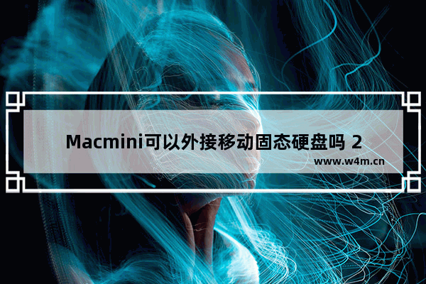 Macmini可以外接移动固态硬盘吗 256g的mini6是扩容的吗