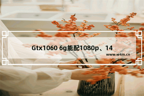 Gtx1060 6g能配1080p、144hz、还是2k显示器 泰坦显卡6g