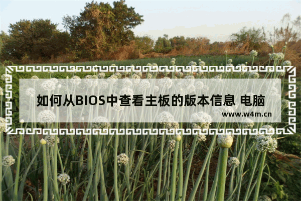 如何从BIOS中查看主板的版本信息 电脑主板怎么查看系统型号