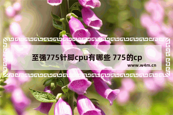 至强775针脚cpu有哪些 775的cpu