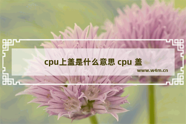 cpu上盖是什么意思 cpu 盖