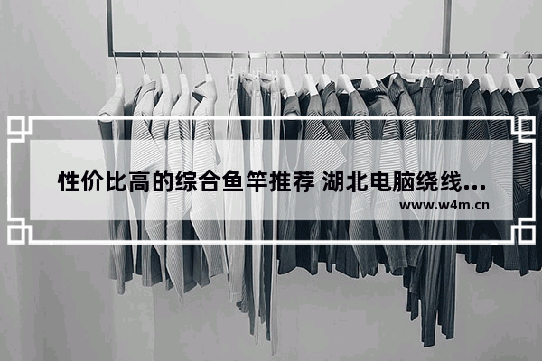 性价比高的综合鱼竿推荐 湖北电脑绕线机哪个品牌好