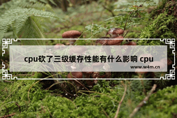 cpu砍了三级缓存性能有什么影响 cpu 级缓存