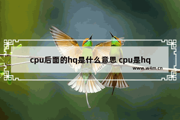 cpu后面的hq是什么意思 cpu是hq