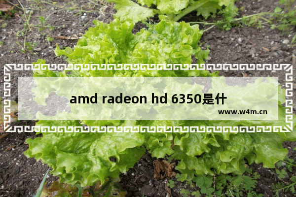 amd radeon hd 6350是什么显卡 hd6350显卡参数