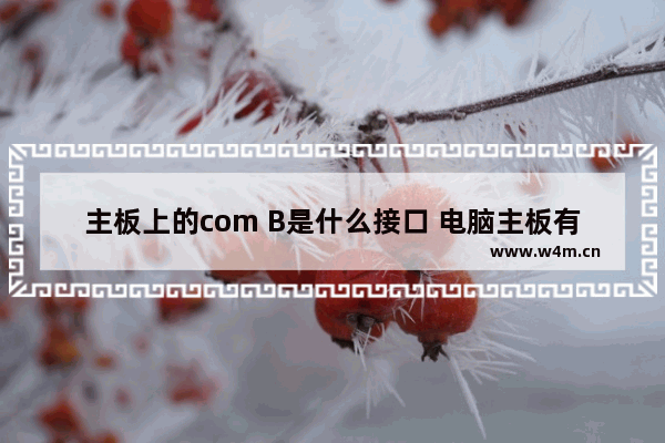 主板上的com B是什么接口 电脑主板有hdmi接口是什么用