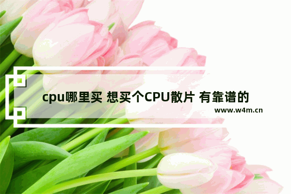 cpu哪里买 想买个CPU散片 有靠谱的店推荐吗