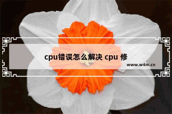 cpu错误怎么解决 cpu 修