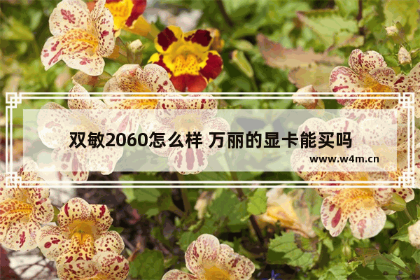 双敏2060怎么样 万丽的显卡能买吗