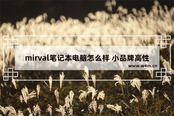 mirval笔记本电脑怎么样 小品牌高性价比笔记本电脑