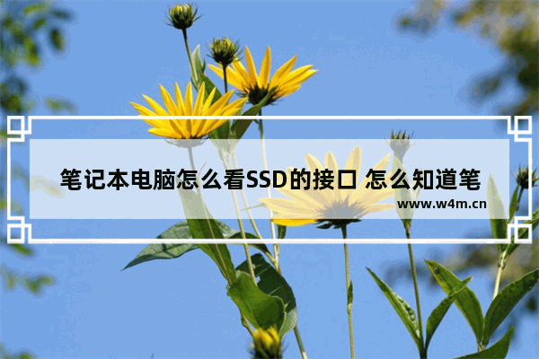 笔记本电脑怎么看SSD的接口 怎么知道笔记本固态硬盘接口