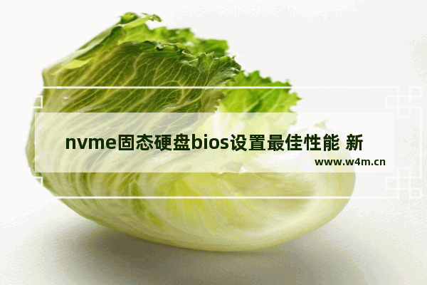 nvme固态硬盘bios设置最佳性能 新装的固态硬盘如何设置