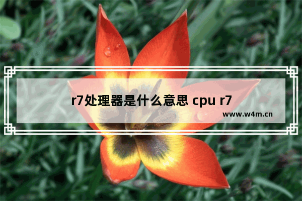 r7处理器是什么意思 cpu r7