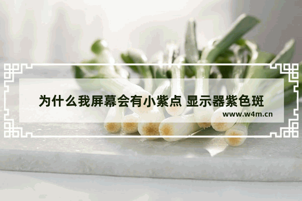 为什么我屏幕会有小紫点 显示器紫色斑