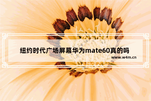 纽约时代广场屏幕华为mate60真的吗 广场大显示器