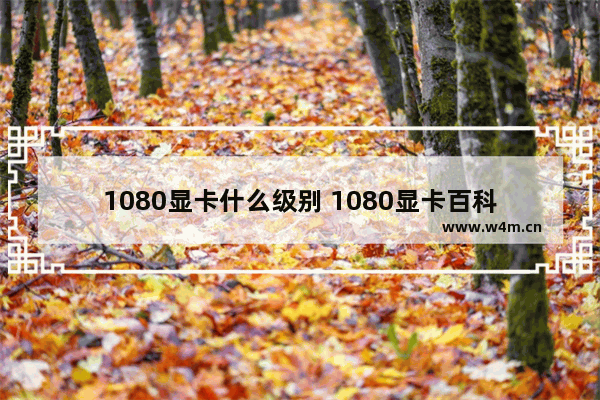 1080显卡什么级别 1080显卡百科