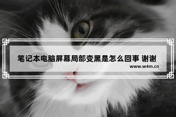 笔记本电脑屏幕局部变黑是怎么回事 谢谢 笔记本电脑屏幕息屏怎么设置