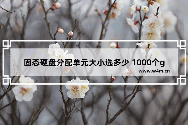 固态硬盘分配单元大小选多少 1000个g的固态c盘多少g合适