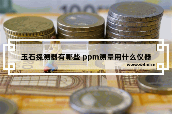 玉石探测器有哪些 ppm测量用什么仪器